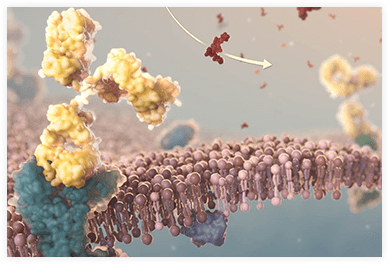 Aimovig® (erenumab-aooe) mechanism of action (MOA)